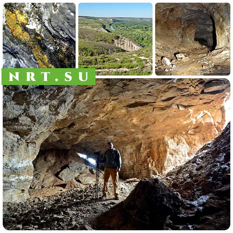 Донецкое золото